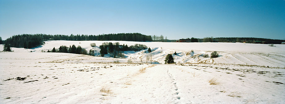 Halikko P 13 215°, 16.3.2002 © Oiva Hakala/ Visuaalinen maisemaseuranta/ MTT:n arkisto