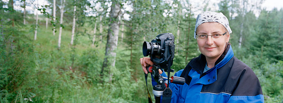 Ruovesi P40, 18.7.2012 © Tapio Heikkilä / Visuaalinen maisemaseuranta/ MTT:n arkisto